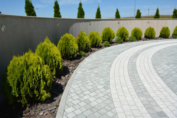 Best Local Driveway Pavers  in Nottingham, PA